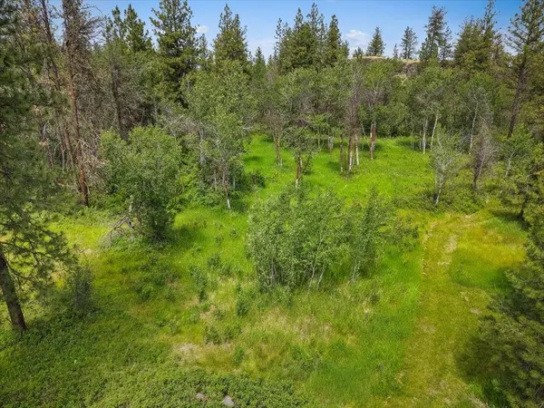 14933 W Burnett Rd, Nine Mile Falls, WA 99026