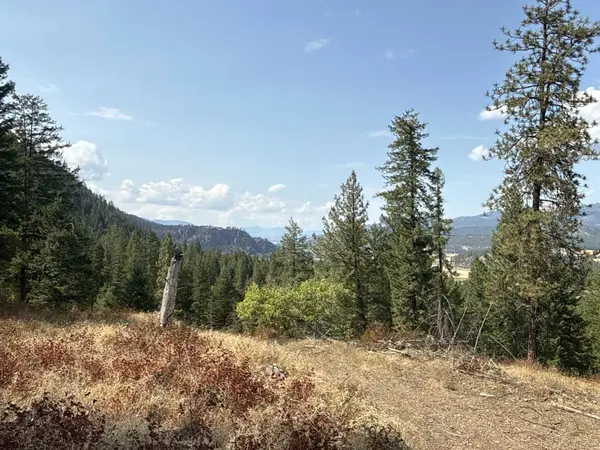 NKA Pine Rose (Lot 1) WAY, Chewelah, WA 99109