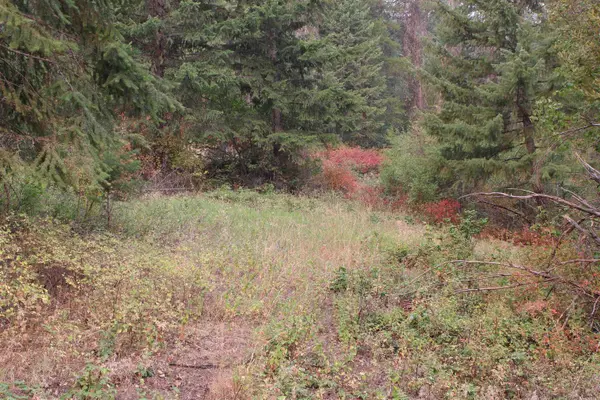 NKA Pine Rose (Lot 2) WAY, Chewelah, WA 99109