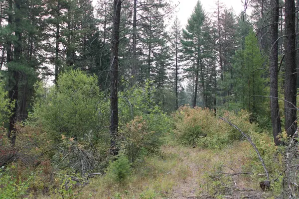 NKA Pine Rose (Lot 3) WAY, Chewelah, WA 99109