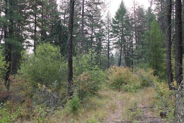 NKA Pine Rose (Lot 3) WAY, Chewelah, WA 99109