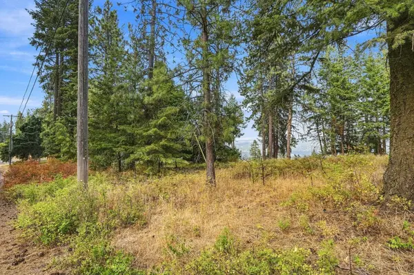 NKA S Park Ln, Spokane, WA 99223