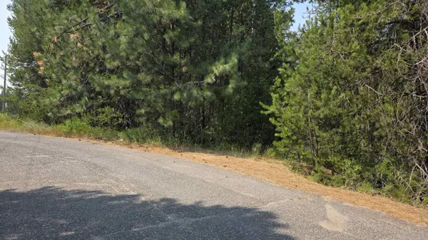 13 Lakeside Dr, Newport, WA 99156