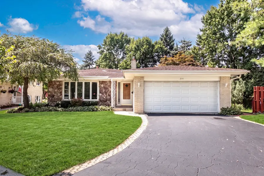 250 Shannon CT, Des Plaines, IL 60016