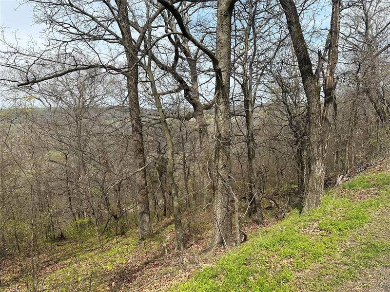 000 W Big Rock RD #Lot #7, Park Hill, OK 74451