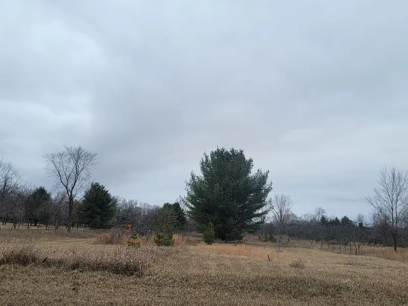 SHERIDAN ST #2, Oconto Falls, WI 54154