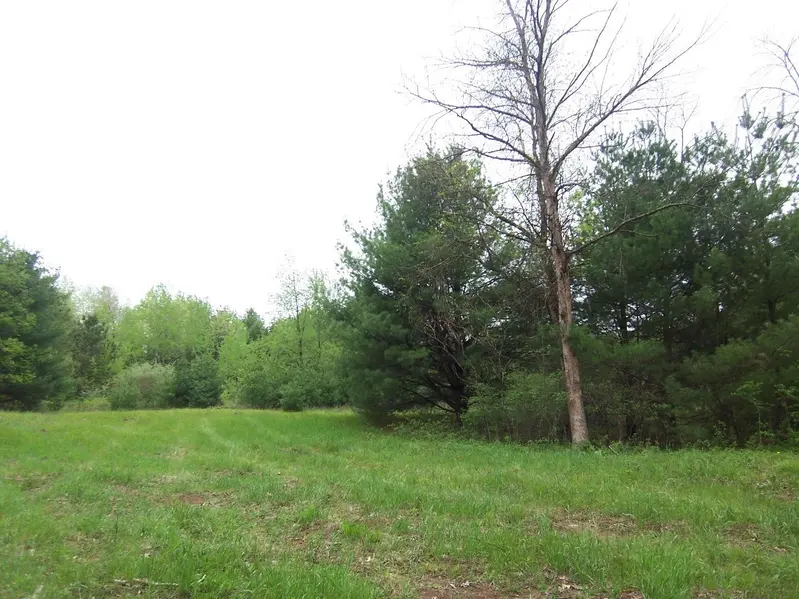 COUNTY ROAD S, Sobieski, WI 54171-0000