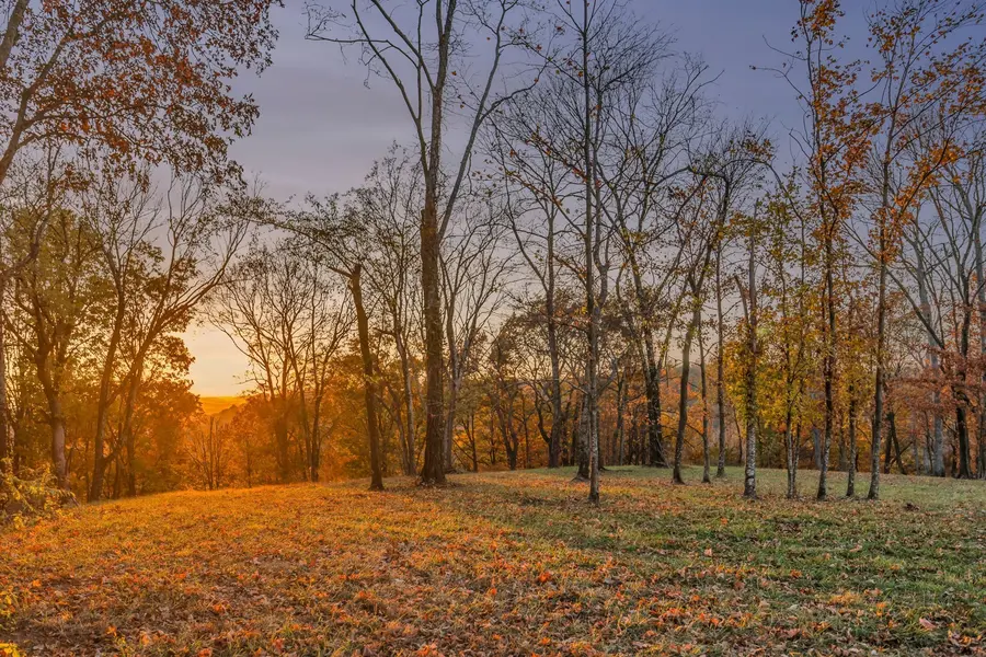 0 Burke Hollow Rd, Nolensville, TN 37135
