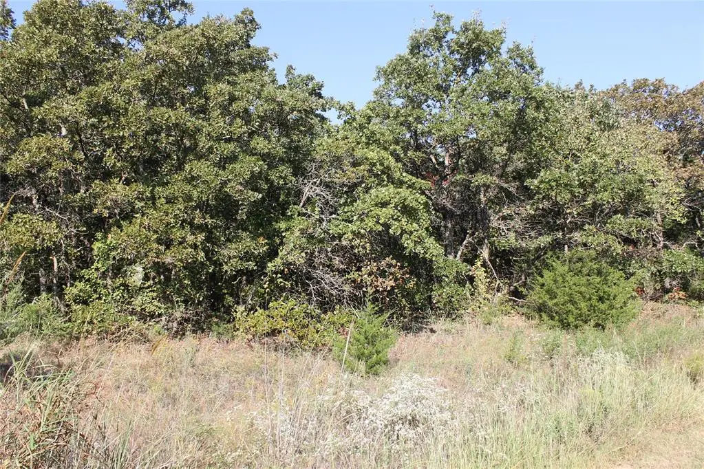 00 Stone Tree CT, Luther, OK 73054