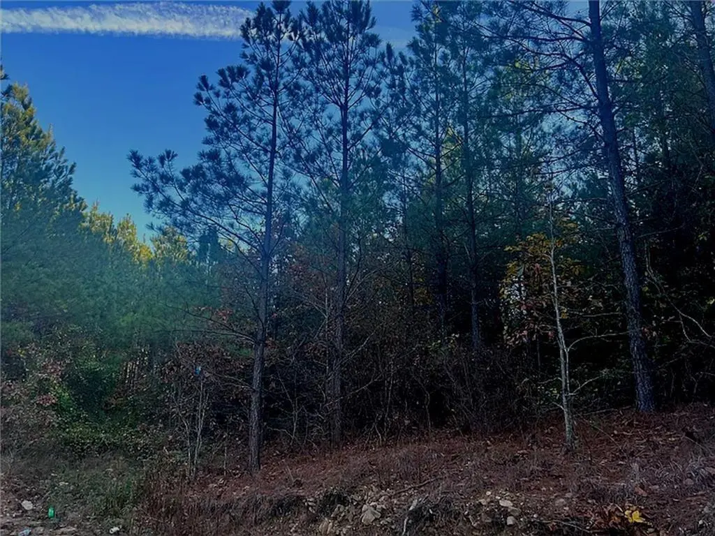 160 Red Fern TRL, Broken Bow, OK 74728