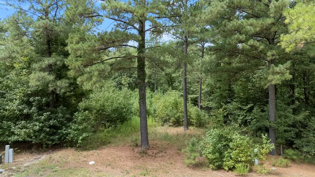 179 Coffee Tree TRL, Broken Bow, OK 74728