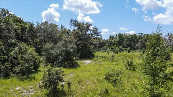1156 HIGHLAND ACRES DR, Apopka, FL 32703
