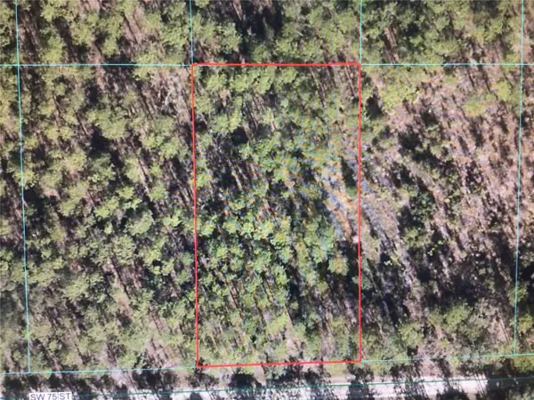 0 SW 75 ST, Dunnellon, FL 34432