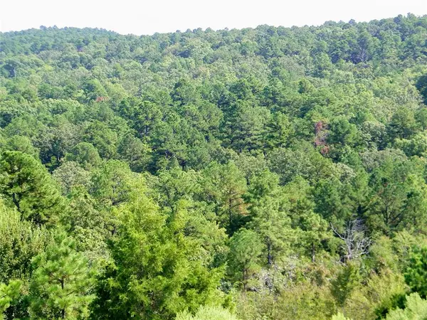 Mountain Road, Smithville, OK 74957