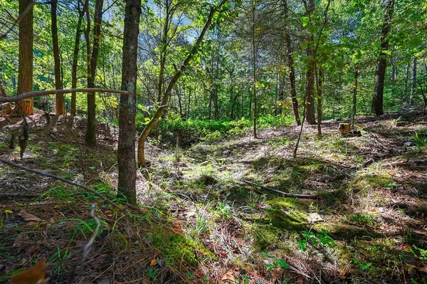 499 Hiddenwater RD, Broken Bow, OK 74728