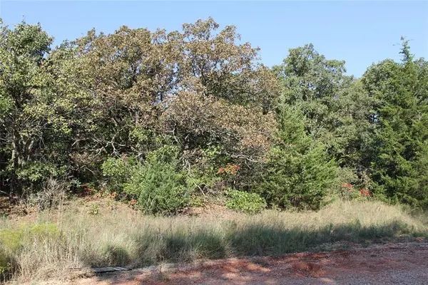 00 Stone Tree CT, Luther, OK 73054