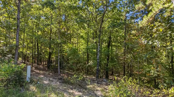 47 AJ Cedar TRL, Broken Bow, OK 74728