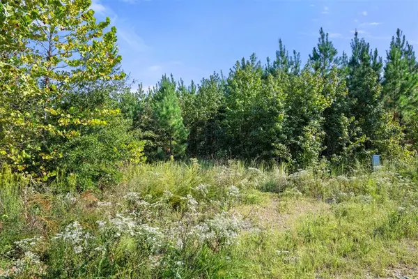 50 S Holland TRL, Broken Bow, OK 74728