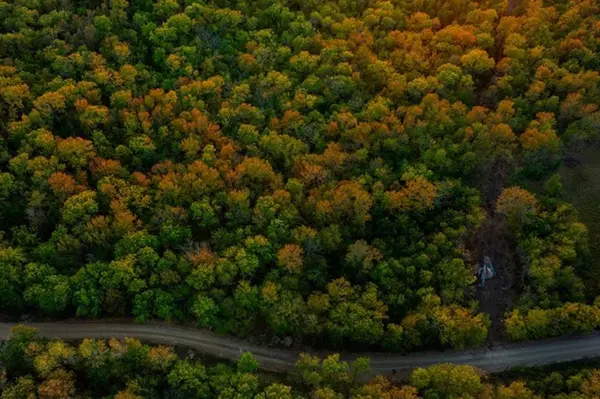 River Bluff RD, Idabel, OK 74745