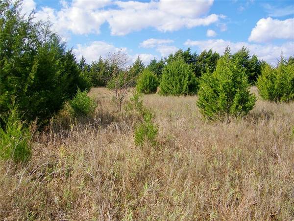 00 E 1020 RD, Prague, OK 74864
