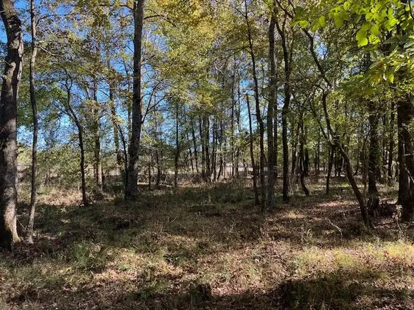 196 Deer Valley CIR, Broken Bow, OK 74728