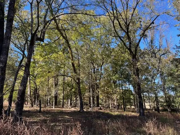 197 Deer Valley CIR, Broken Bow, OK 74728