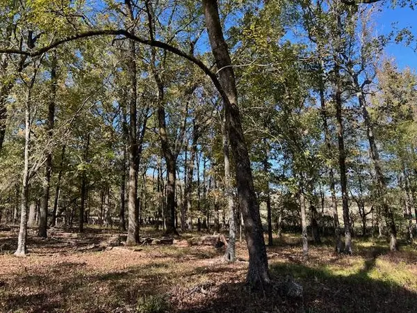 197 Deer Valley CIR, Broken Bow, OK 74728