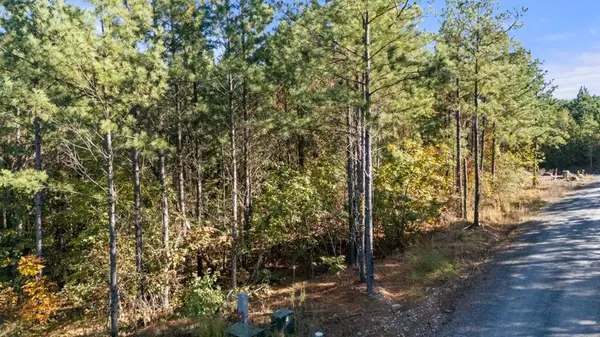 24 Cedar Tree TRL, Broken Bow, OK 74728