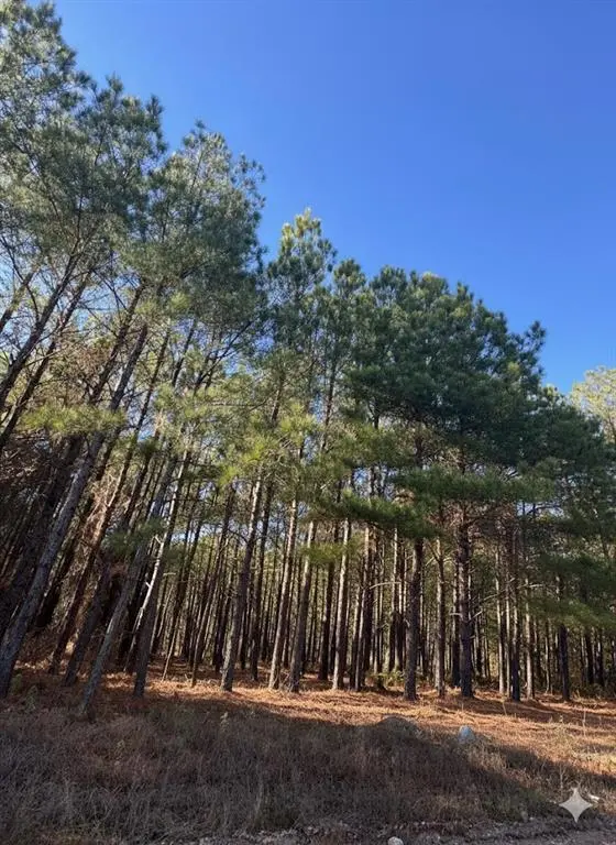 59 Overlook Hill Trail TRL, Broken Bow, OK 74728