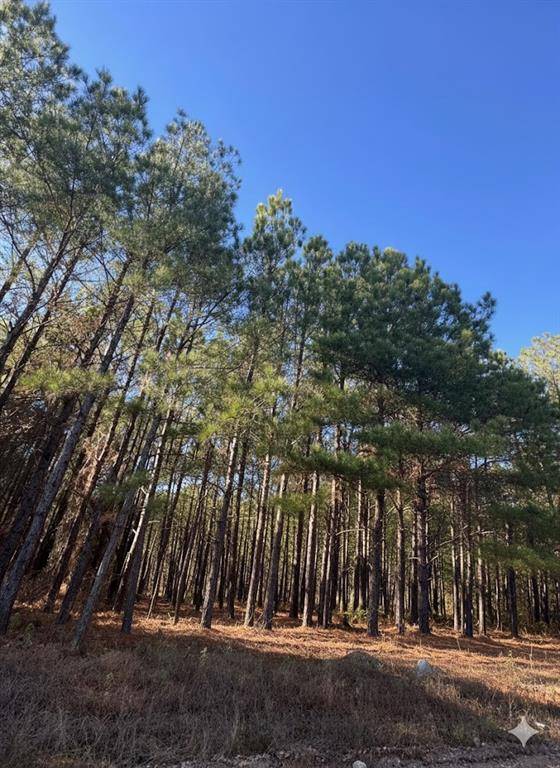 59 Overlook Hill Trail TRL, Broken Bow, OK 74728