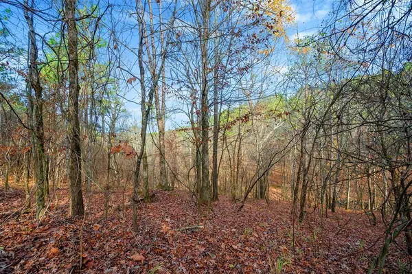 164 Timber Holler TRL #Lot 504, Broken Bow, OK 74728