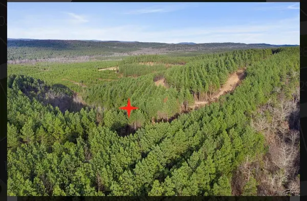 905 Timberline TRL, Broken Bow, OK 74728