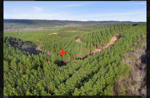 905 Timberline TRL, Broken Bow, OK 74728