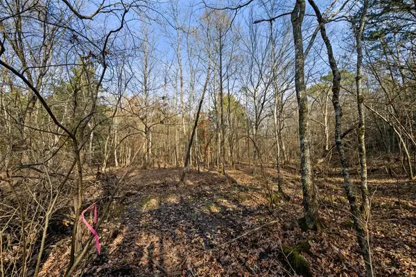 316 Marked Pine LN, Broken Bow, OK 74728
