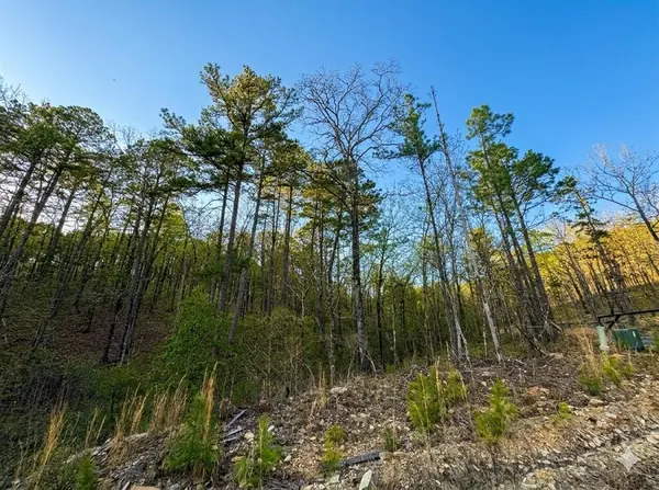 63 Western Cedar TRL, Broken Bow, OK 74728