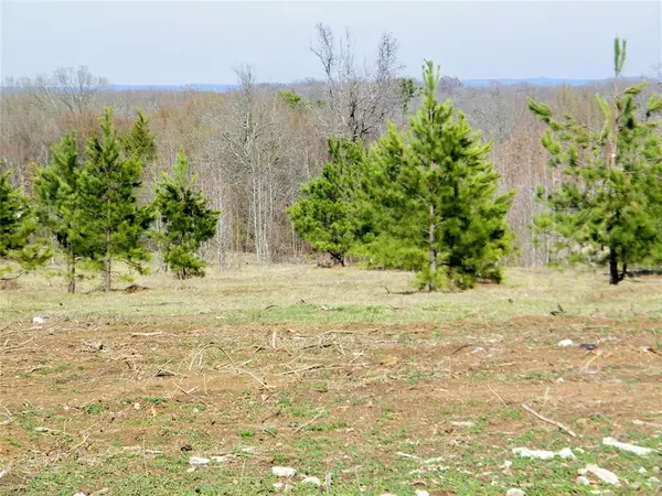 Oak Brook Drive #Lot 5, Idabel, OK 74745