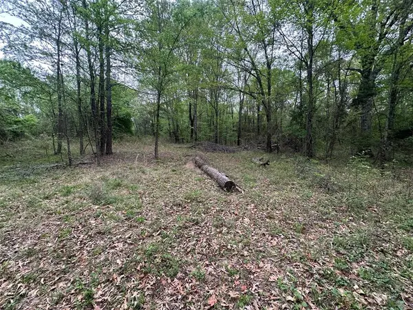 226 Butler Pool RD, Idabel, OK 74745