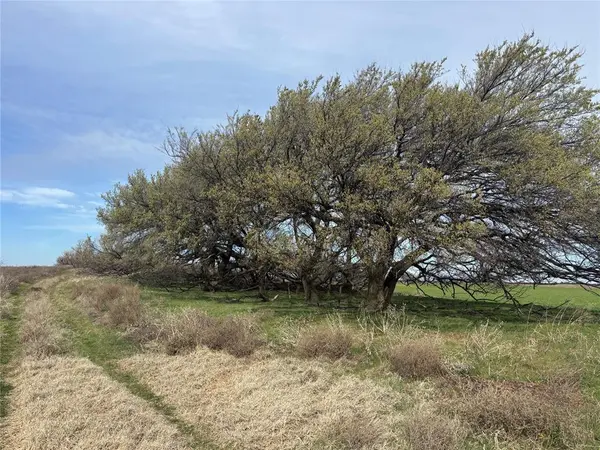 Country Road 450, Aline, OK 73716