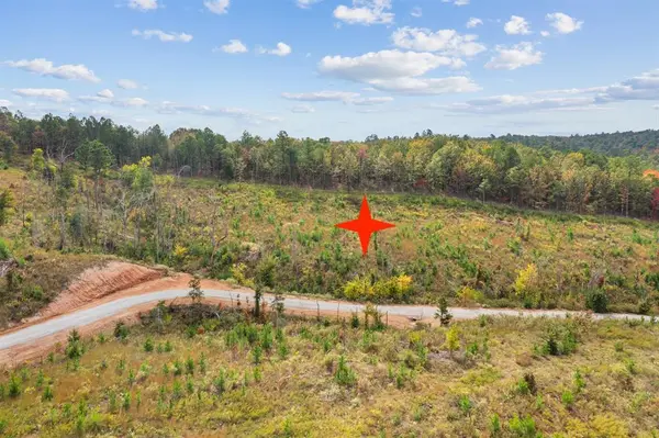 48 Rose Tree TRL, Broken Bow, OK 74728
