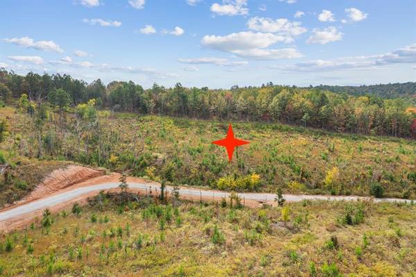 48 Rose Tree TRL, Broken Bow, OK 74728