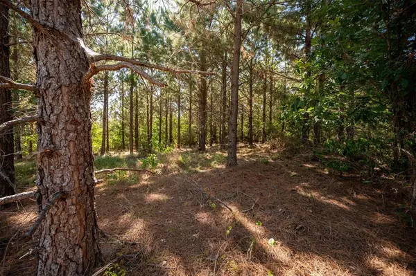 173 Legacy Mountain TRL, Broken Bow, OK 74728