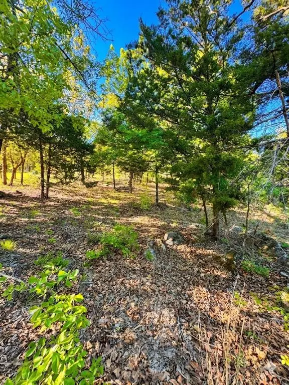 84 Patriot Pointe, Eufaula, OK 74432