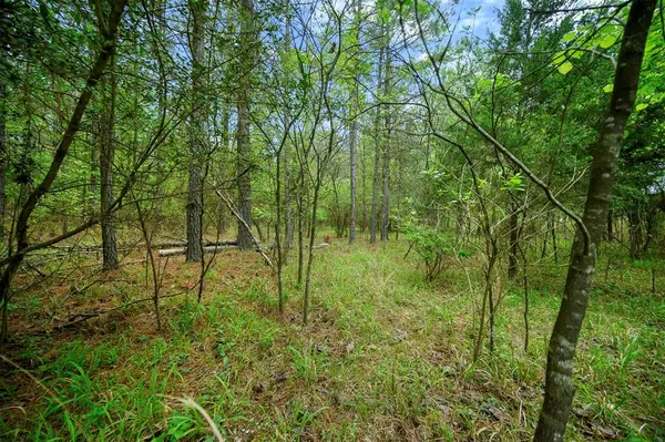 561 Track 1 Camp Ranch RD, Broken Bow, OK 74728