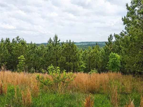 158 Legacy Ridge TRL, Broken Bow, OK 74728