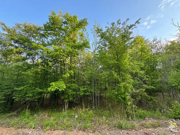 9 Vista Ridge TRL, Watson, OK 74957