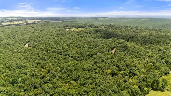 14 Vista Ridge TRL, Watson, OK 74957