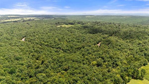 14 Vista Ridge TRL, Watson, OK 74957