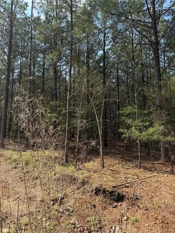 51 Aged Acacia TRL, Broken Bow, OK 74728