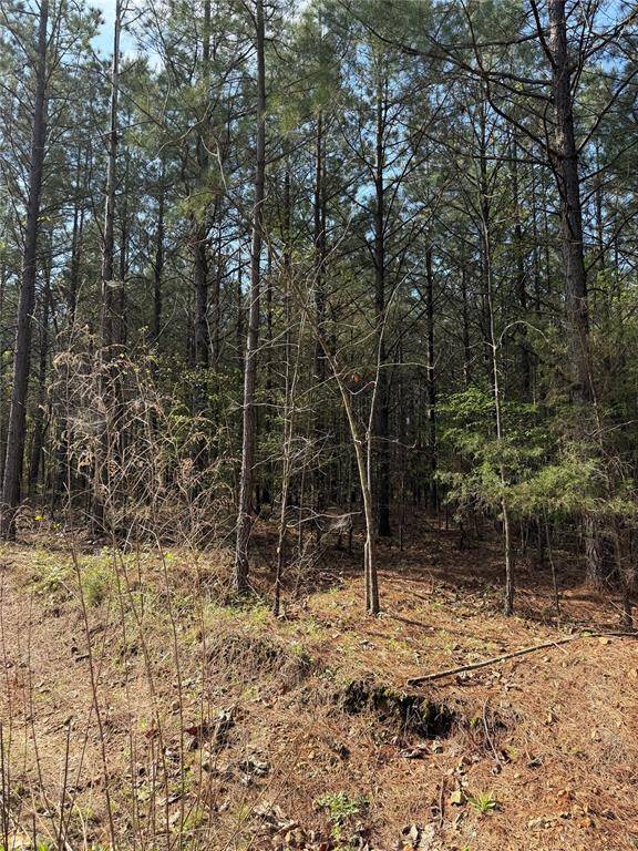 51 Aged Acacia TRL, Broken Bow, OK 74728