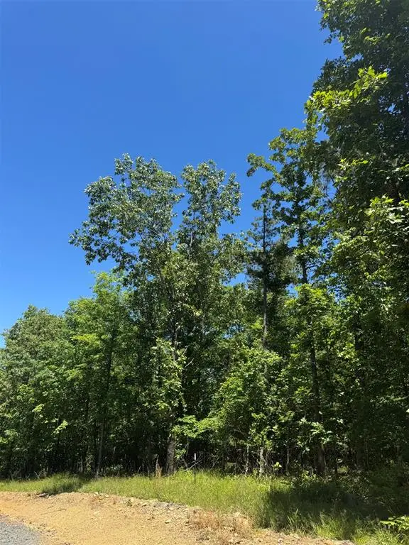 33 Starry Night CT, Watson, OK 74957